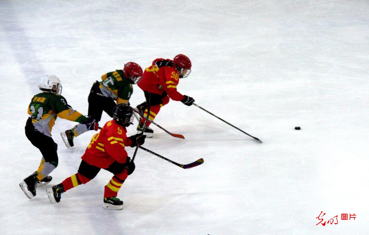 冰球总决赛即将打响,冠军归属成谜 冰球总决赛即将打响,冠军归属成谜