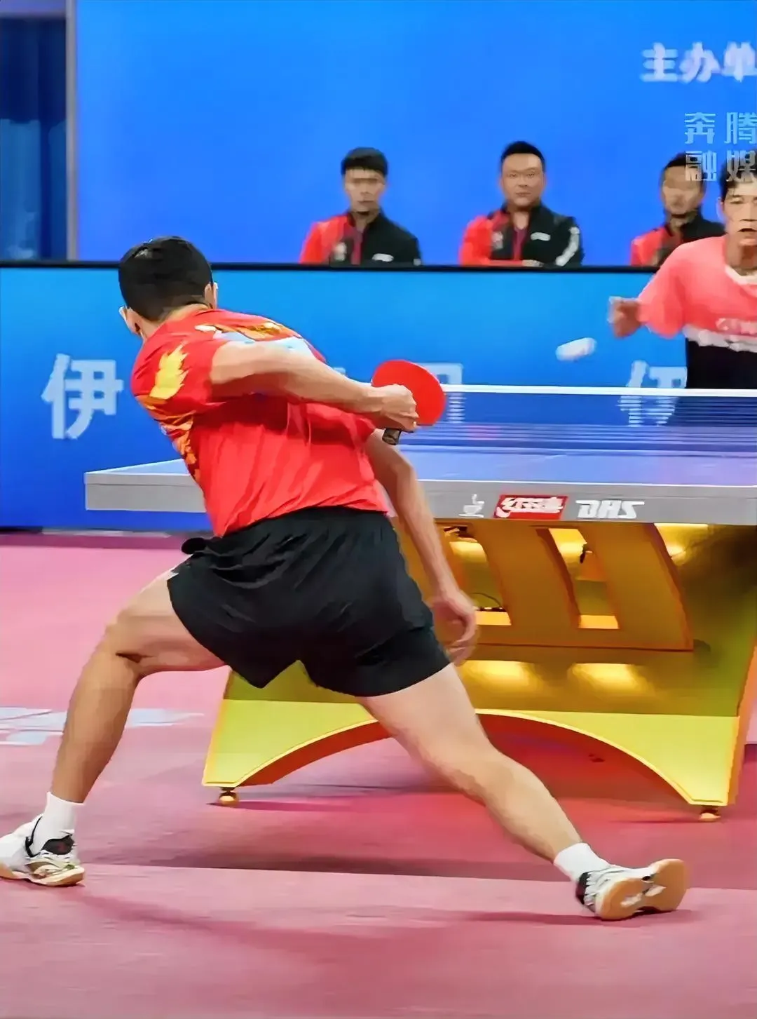 波兰队鏖战法国队，许昕高光表现