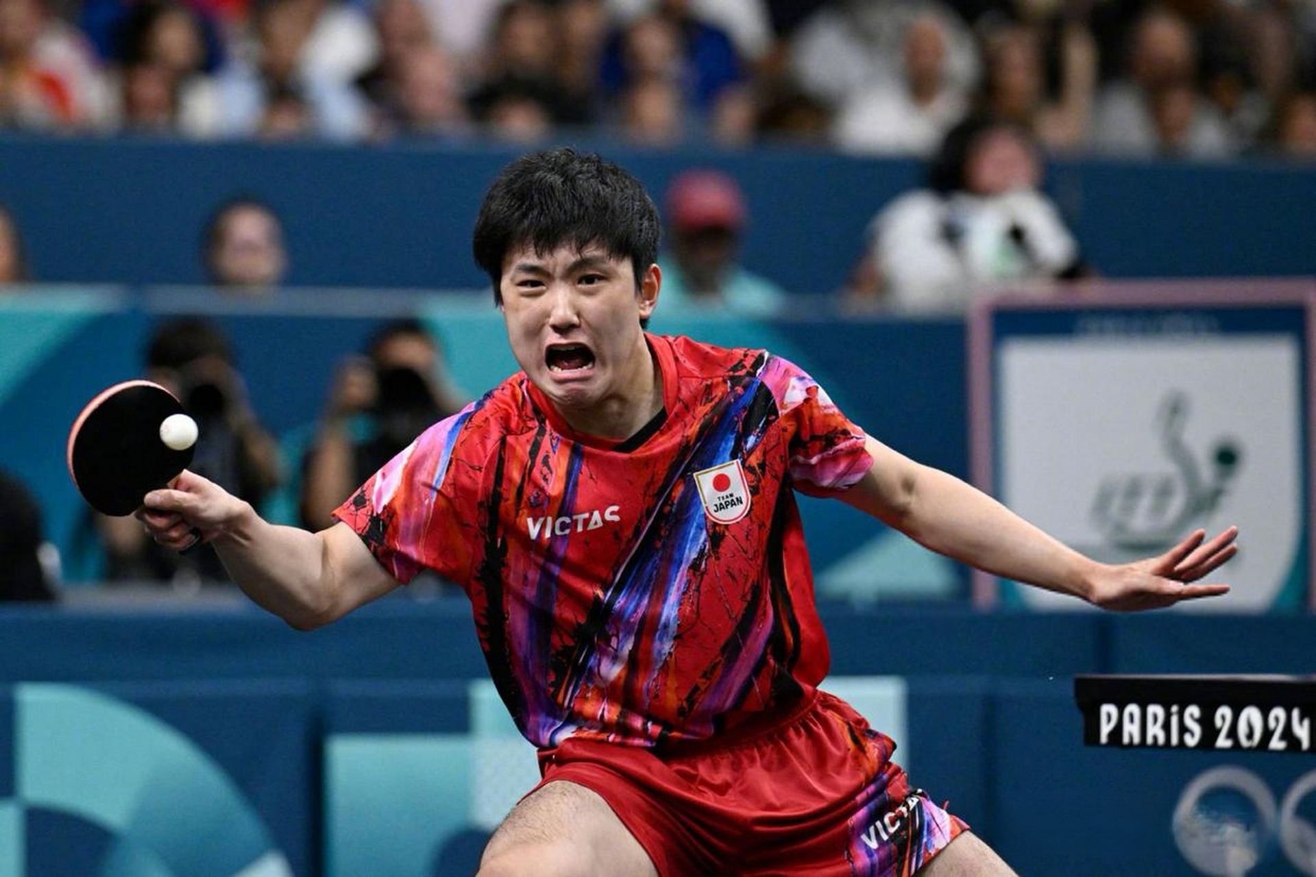 中国队绝杀法国队,张本智和点燃赛场 中国队绝杀法国队,张本智和点燃赛场