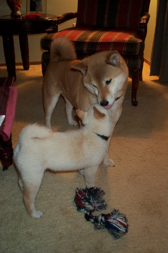 终局魔术师，那个在呼吸之间为可能按下暂停键的人