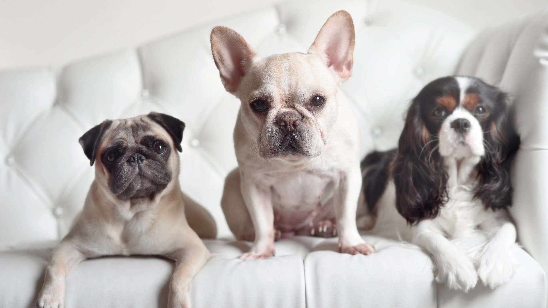 体育史上的绝杀图腾,金玟哉与莫德里奇,不同赛场上的同一颗大心脏