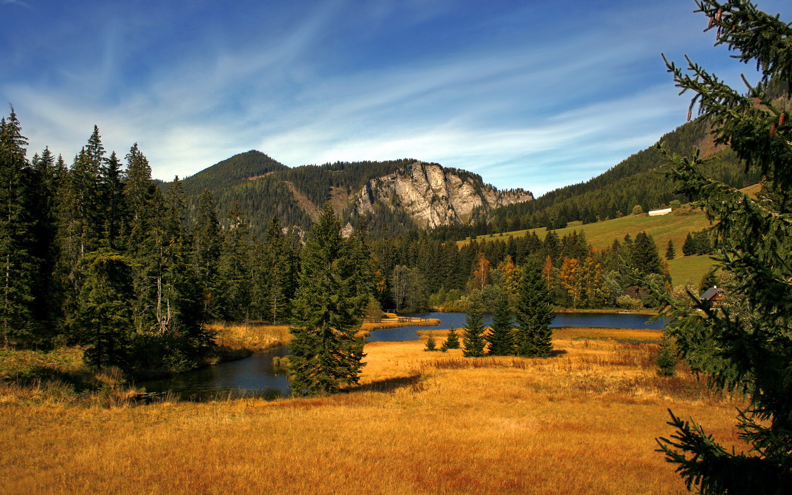 金杯之约，世界杯之夜，霍勒迪的钢铁绽放