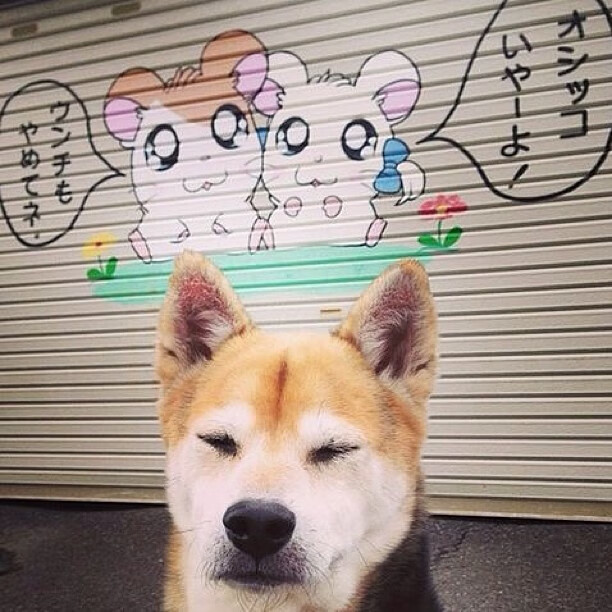 黑云压城金甲破阵，米切尔用关键先生的铁血定义奇才的逆袭哲学