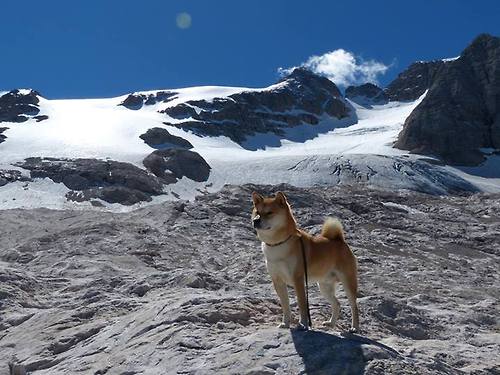 欧陆烽火，巴雷拉持续制造杀伤引领风暴，马赛横扫AC米兰重塑格局