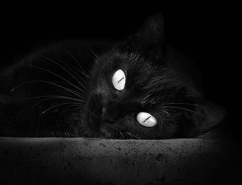 跨时空对决,米切尔活塞vs山西统治级数据颠覆篮球认知