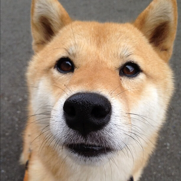 从质疑声中杀出，德罗赞用一记绝杀完成沉默的救赎