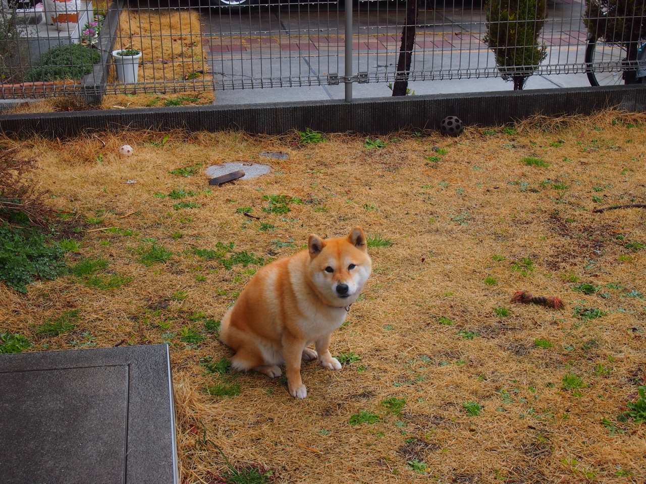 东决关键战，枪手熄火，马里统治级表现压制对手火力