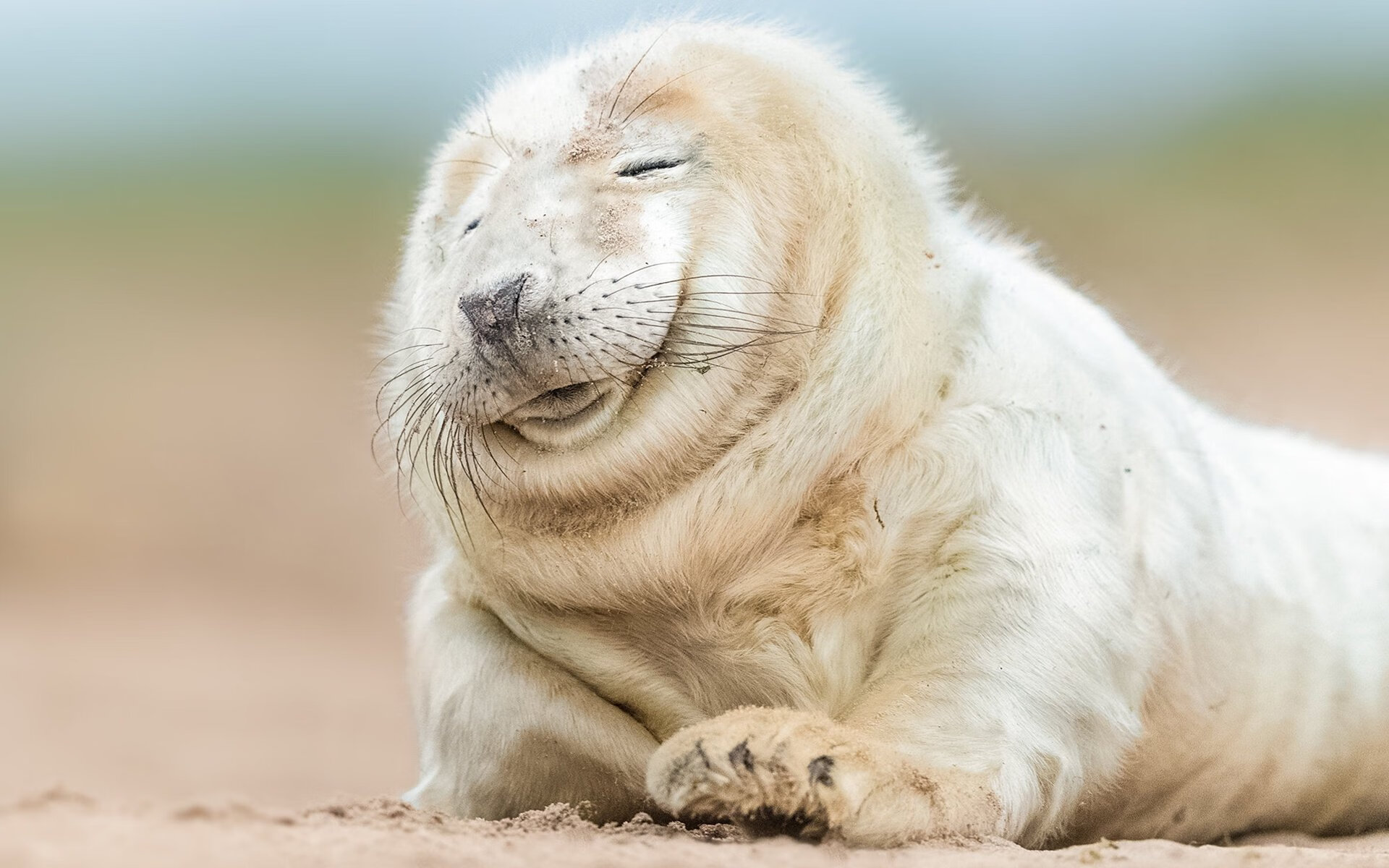 迪亚斯用实力正名，波兰客场踏平曼联