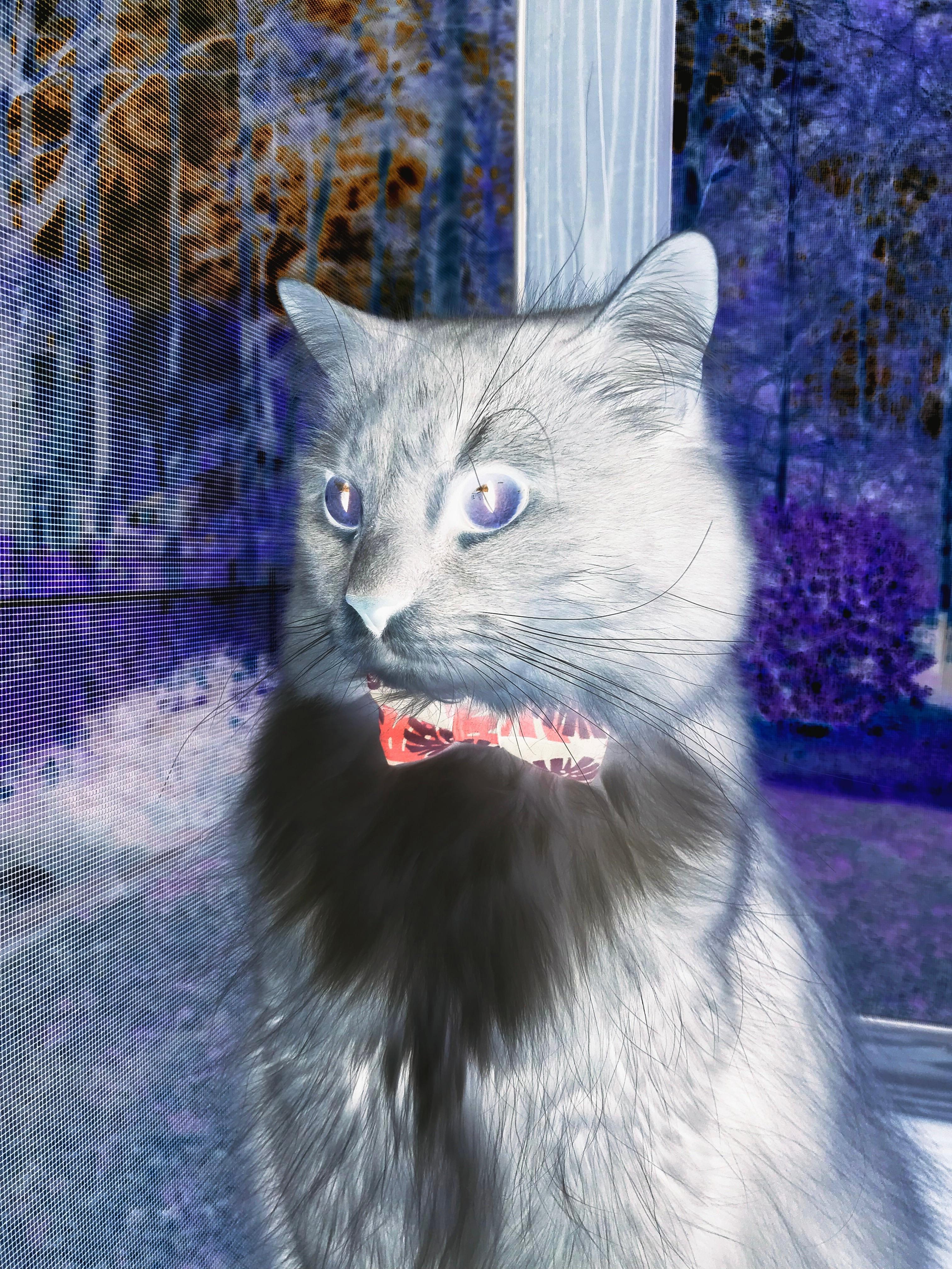 广东队闪电战击溃马刺,范弗利特高效输出铸就胜利基石