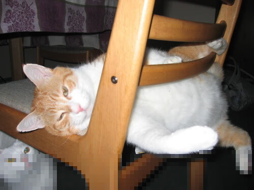 在那些极速变向和超远三分背后，利拉德究竟展现出了怎样的另一面？