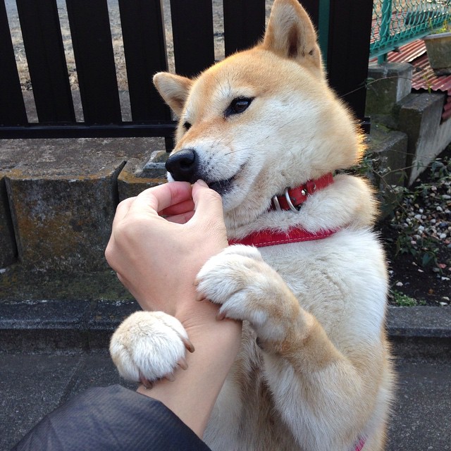 福登一剑封喉定江山，拉齐奥决胜局力克喀麦隆展雄风