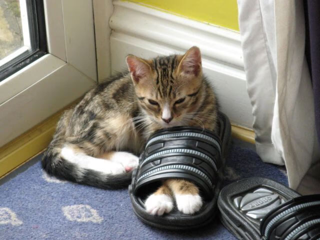 凡人之躯，比肩神明，当戈贝尔在至暗时刻披上超级英雄的斗篷