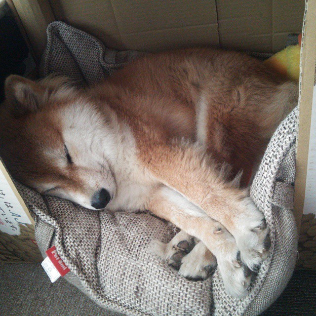 （新闻焦点式）