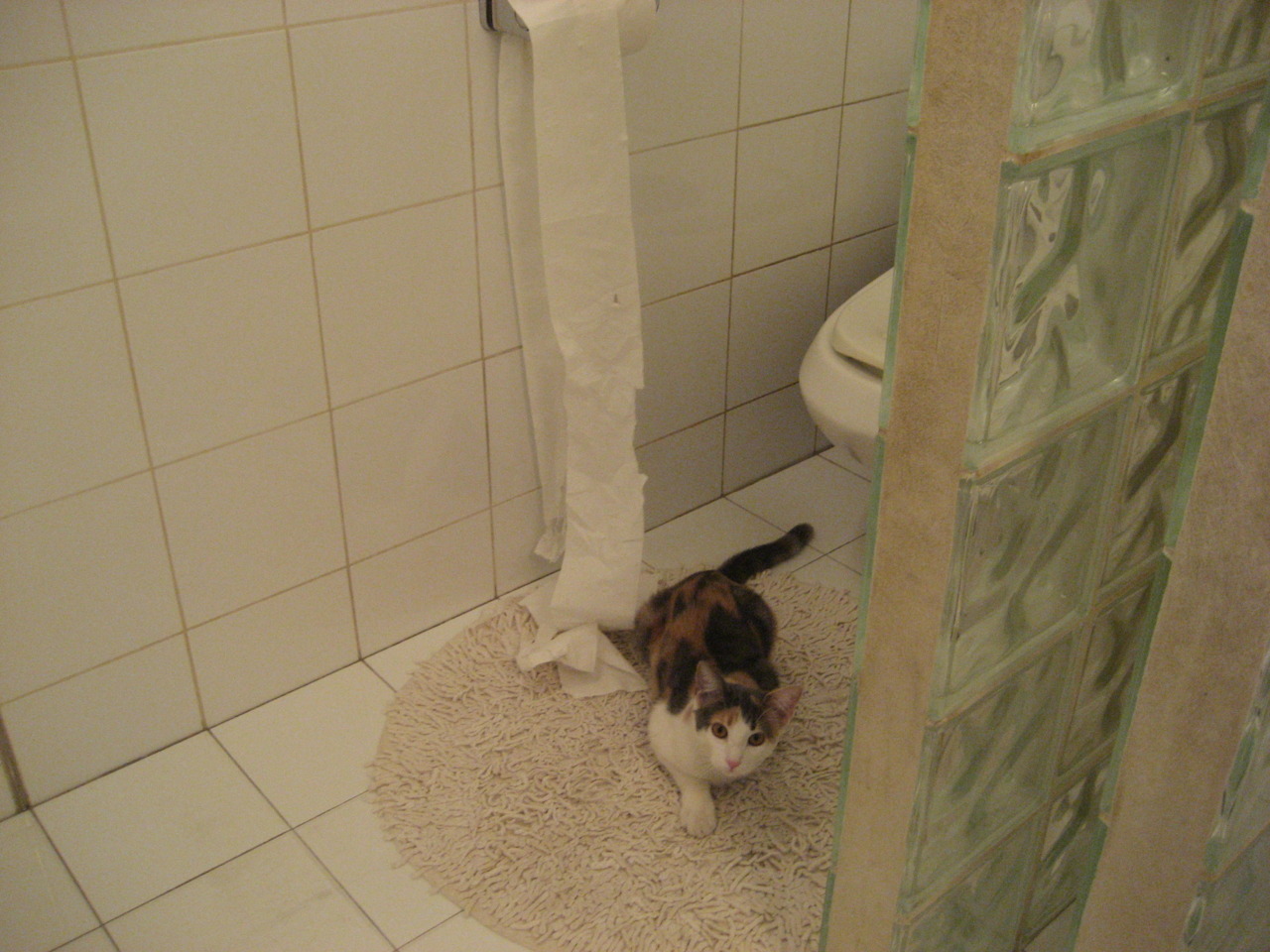 战火重燃，秘鲁高原雄鹰逆袭，世界排名争夺战沙漠绿茵定乾坤