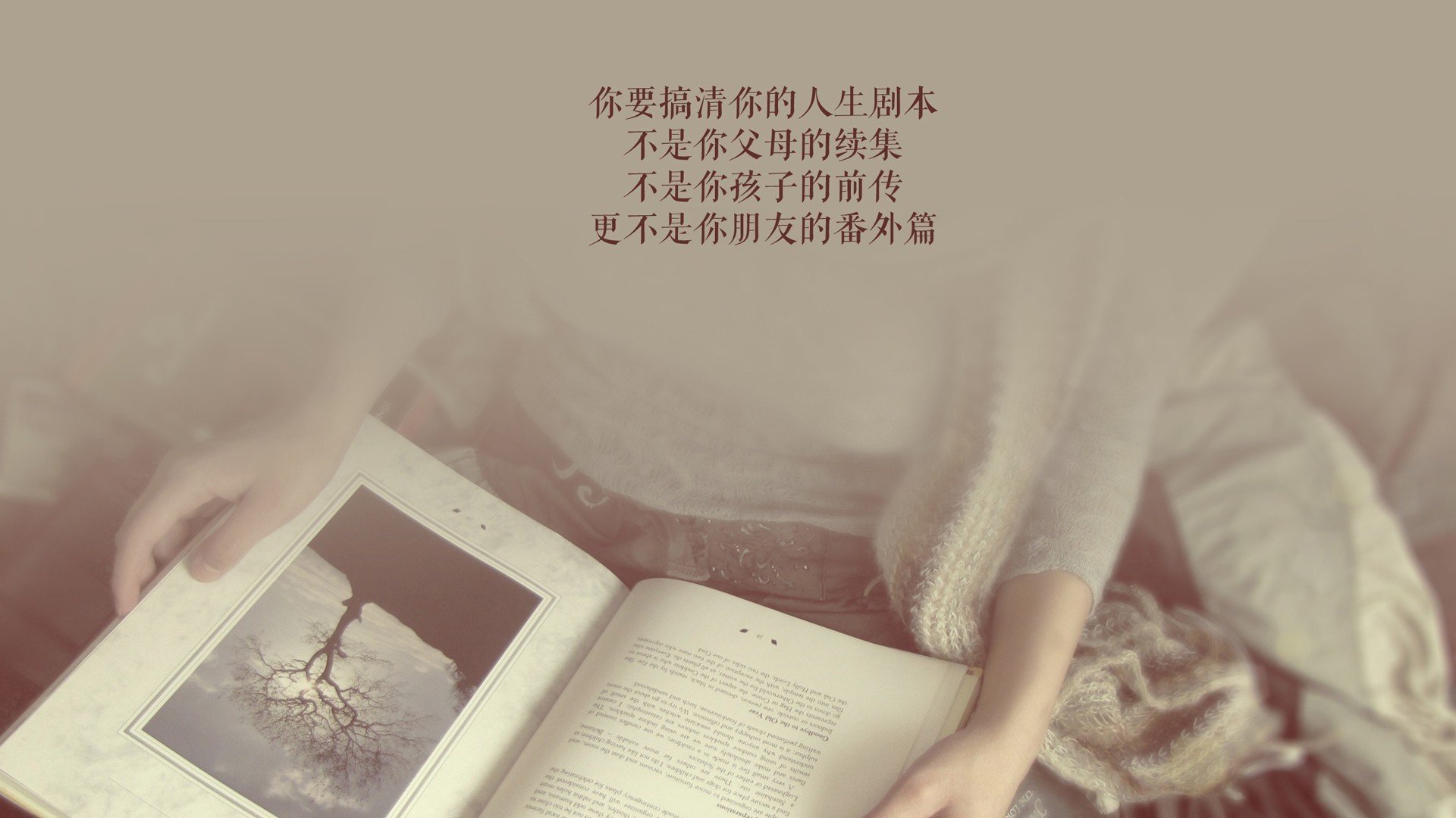 魔笛余音，北非热风，2026世界杯F组，当匈牙利益智风暴撞上哈基米的孤胆英雄主义