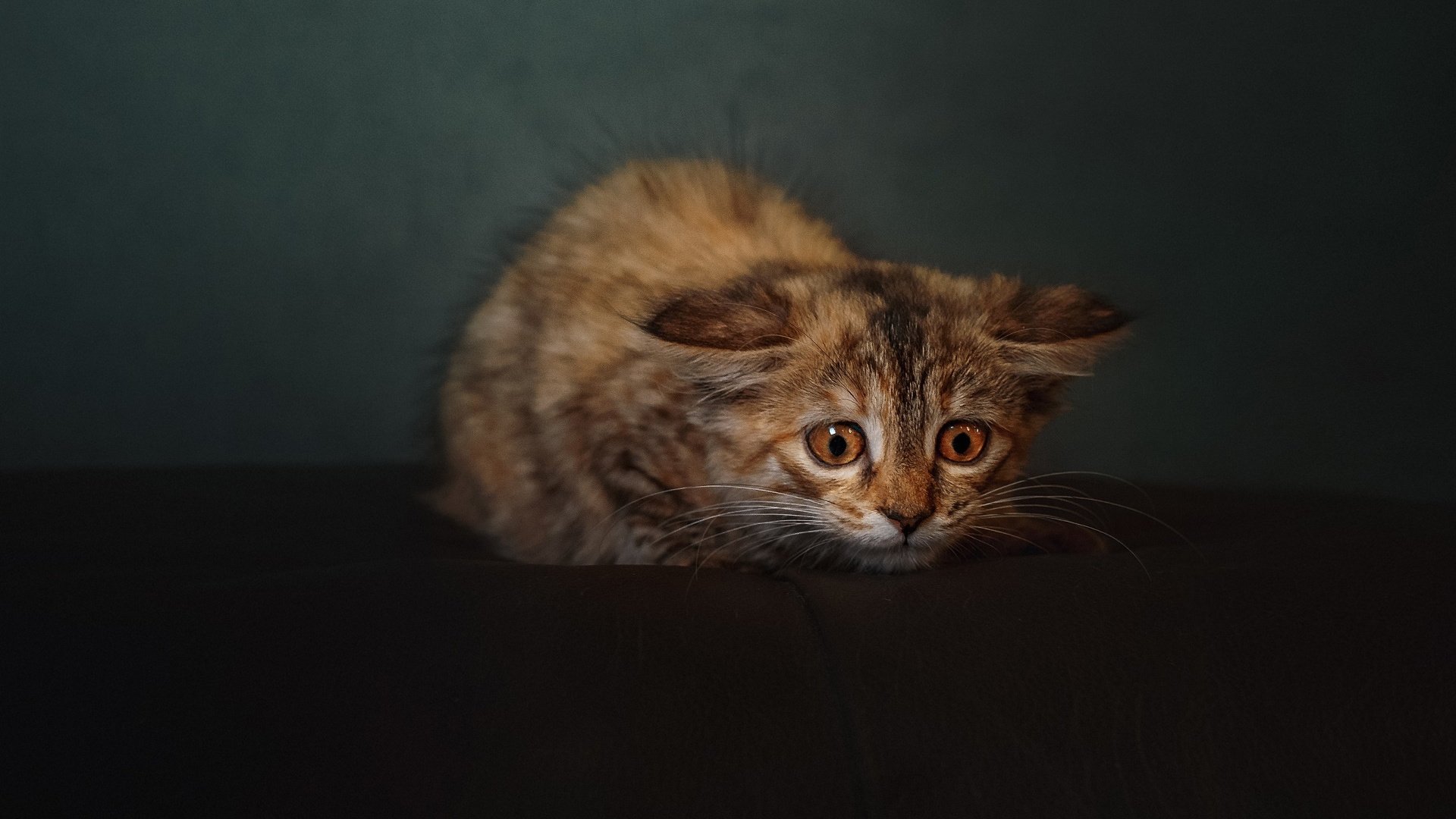 2026世界杯F组唯一答案,西班牙碾压乌拉圭,德布劳内编织紧凑节拍,巨星归化缔造史诗