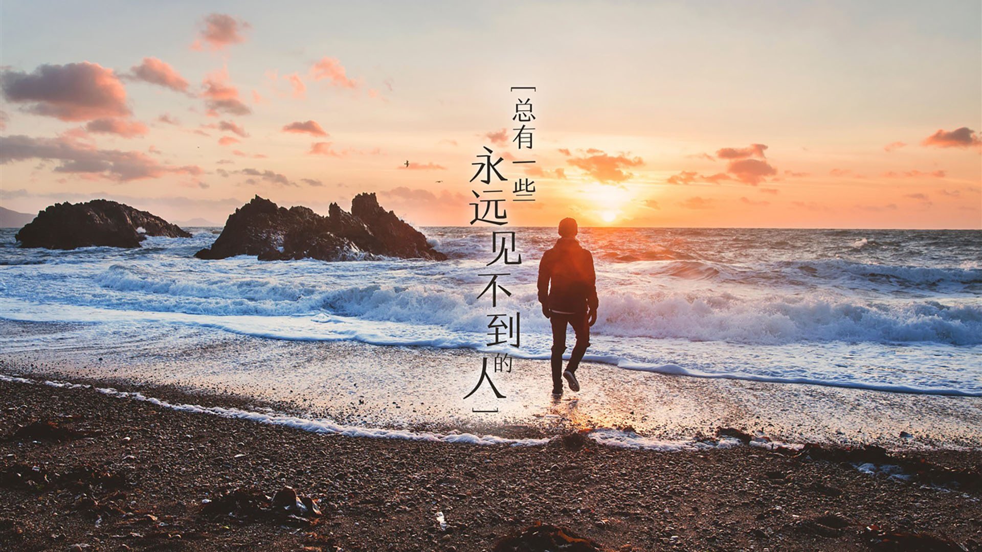 哈基米的致命弧线,2026世界杯B组日本VS葡萄牙,一场被改写命运的生死战