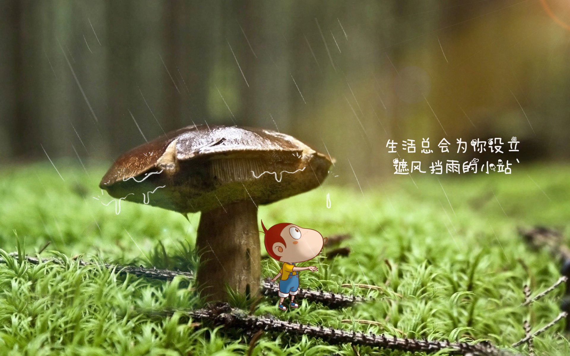 龙腾绿茵，逆转风暴，2026世界杯F组，托纳利导演沙漠中的不可能奇迹