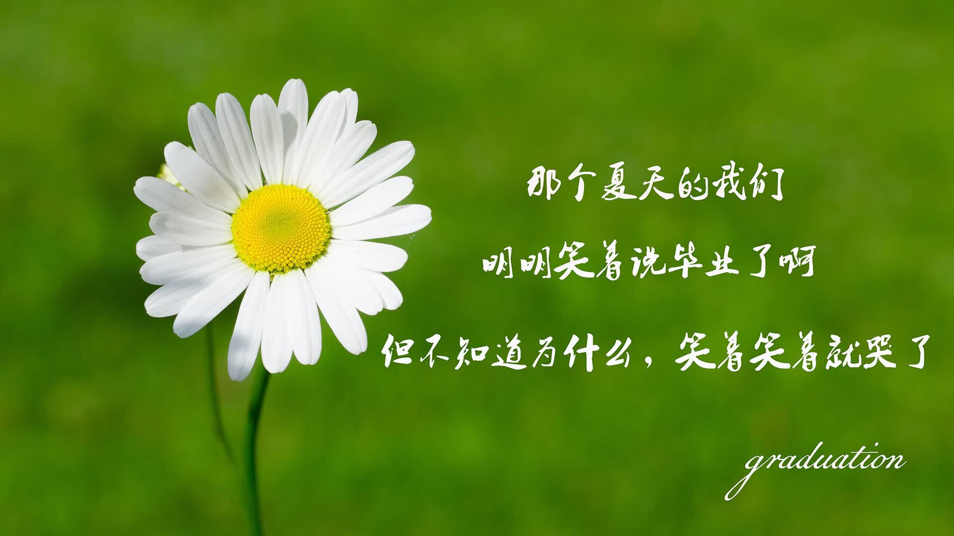 橙色光影的炼金术,当费利克斯用一己之力,将一场足球赛炼成2026年的唯一传说